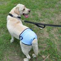 HKM-549779 Casual Cotton Velcro Pants for Pets - Available in Pink, Black, Blue, Purple (Sizes XS-XL)