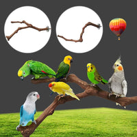 HKM-550035 Natural Grape Wood Bird Standing Stick for Parrots and Small Birds - 23-30cm Long