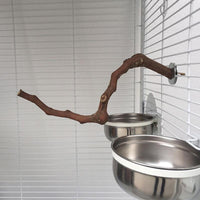 HKM-550035 Natural Grape Wood Bird Standing Stick for Parrots and Small Birds - 23-30cm Long