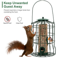 HKM-553491 Squirrel-Proof Outdoor Bird Feeder with 4 Feeding Ports for Small Songbirds