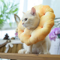 HKM-555859 British Short Sterilization Anti-Lick Ring for Dogs, Cotton Polyester, All Seasons, XS and S Sizes Available