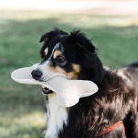 HKM-558483 Cotton Velvet Dog Toy Bone for Biting and Molar Relief, 20x10cm - Available in Multiple Colors