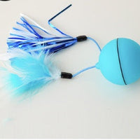 HKM-558611 Pet Electric Toy LED Rolling Ball