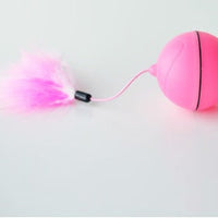 HKM-558611 Pet Electric Toy LED Rolling Ball