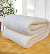 HKM-558931 Coral Flannel Blanket for Cozy Home Decor - First Class Quality Carpet