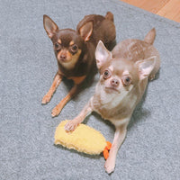HKM-560339 Squeaky Fried Shrimp Tempura Dog Toy - Plush Bite Chew for Puppies, Teeth Cleaning and Anxiety Relief