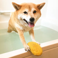 HKM-560339 Squeaky Fried Shrimp Tempura Dog Toy - Plush Bite Chew for Puppies, Teeth Cleaning and Anxiety Relief