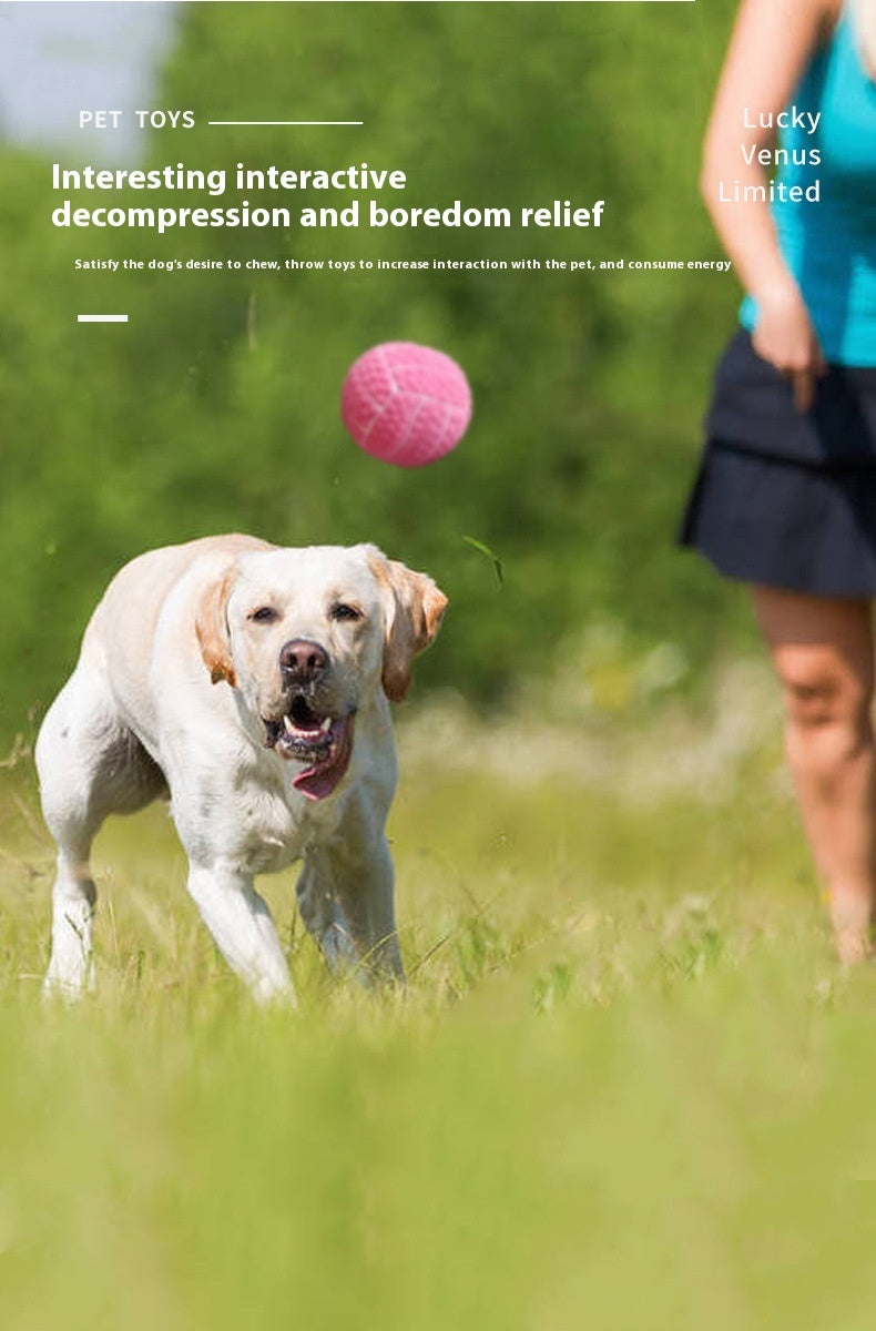 HKM-560915 LaTeX Pet The Toy Dog Latex High Elastic Ball