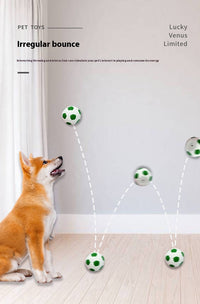 HKM-560915 LaTeX Pet The Toy Dog Latex High Elastic Ball