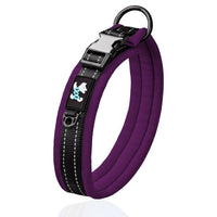 HKM-561171 Reflective Adjustable Pet Collar and Leash Set in Various Colors
