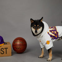 HKM-564243 Basketball Style Polyester Pet Shell Jacket for Dogs - Available in Multiple Sizes