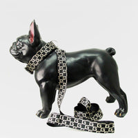 HKM-564755 Durable Nylon Dog Leash with Adjustable Collar and Harness for All Sizes