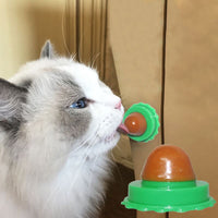 HKM-565523 Pet Cat Sugar Energy Ball Lick Toys Catnip
