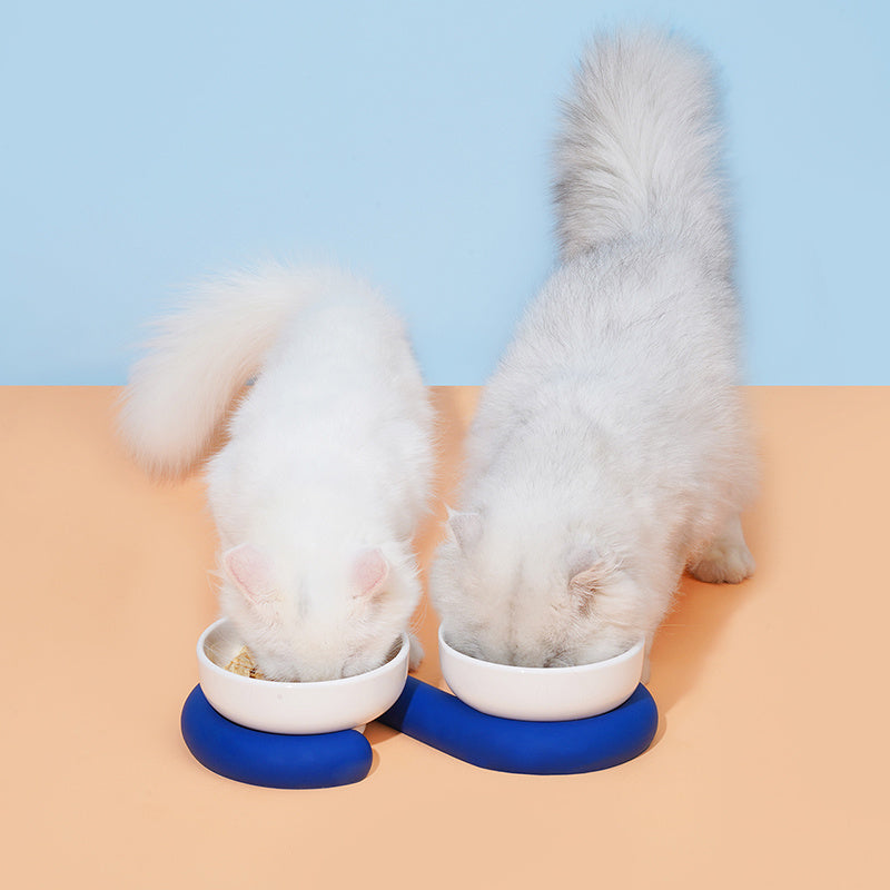 HKM-567571 Ceramic and Silicone Dog Bowl for Food and Water with Fun Color Combinations