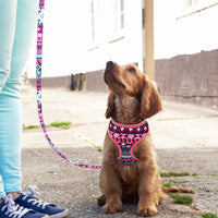 HKM-569555 Trendy Breathable Chest Strap Harness for Small and Medium Dogs - Available in Blue, Purple, Orange