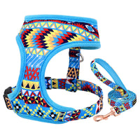 HKM-569555 Trendy Breathable Chest Strap Harness for Small and Medium Dogs - Available in Blue, Purple, Orange