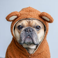 HKM-569619 Fleece-Lined Dog Sweater with Ear-Standing Design - Available in Brown and Pink, Sizes M to 2XL