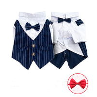 HKM-569811 Fashionable Pet Dog Suit with Bow Tie – Striped Design in Dark Blue, Black, and Burgundy, Sizes XS to XXL