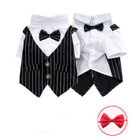 HKM-569811 Fashionable Pet Dog Suit with Bow Tie – Striped Design in Dark Blue, Black, and Burgundy, Sizes XS to XXL