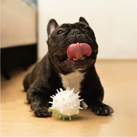 HKM-572115 Dog bite-resistant vocal toy