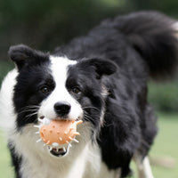 HKM-572115 Dog bite-resistant vocal toy