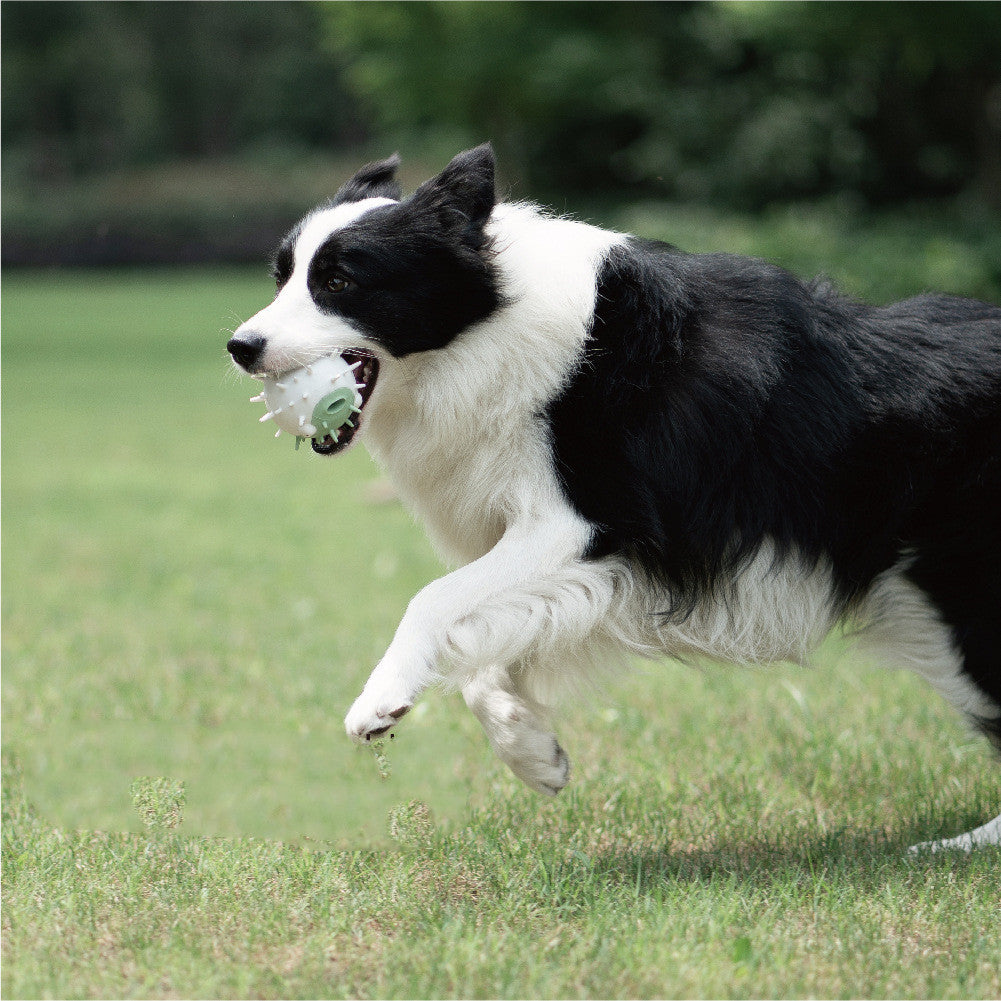 HKM-572115 Dog bite-resistant vocal toy