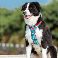 HKM-572499 Nylon Dog Leash with Chain and Vest Straps for All Breeds