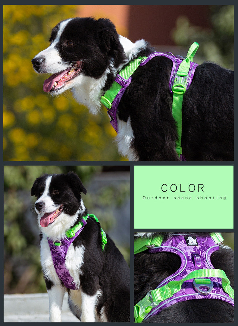 HKM-572499 Nylon Dog Leash with Chain and Vest Straps for All Breeds