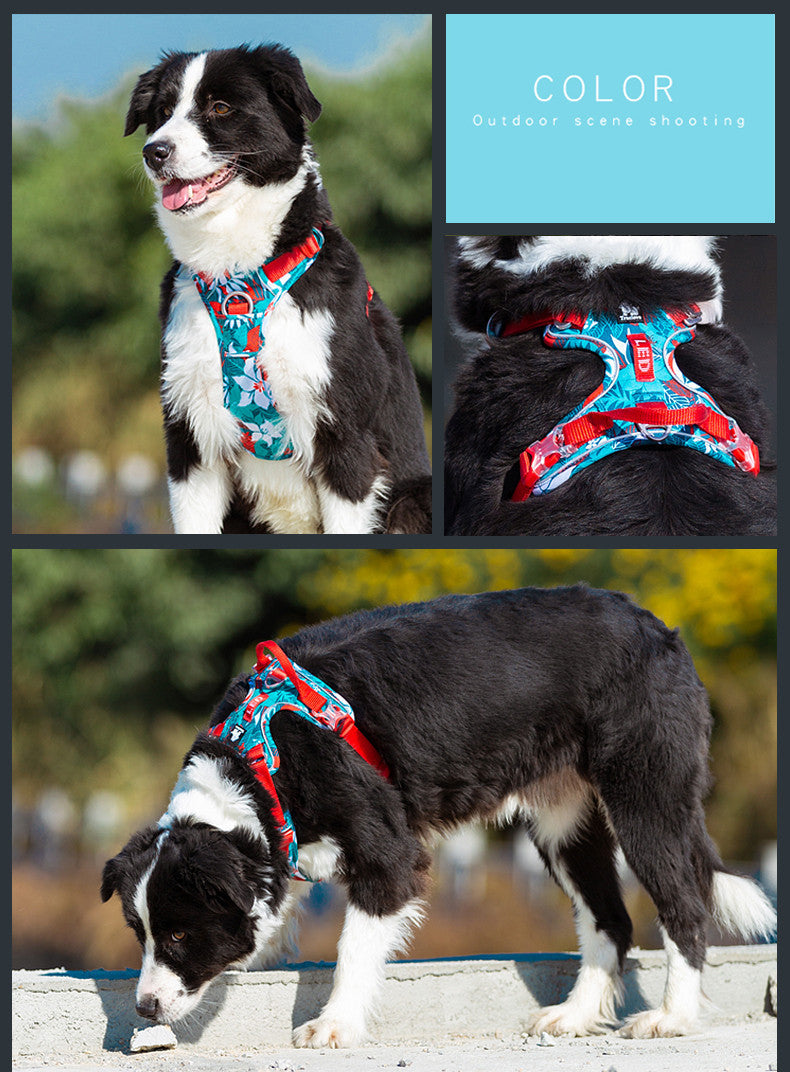 HKM-572499 Nylon Dog Leash with Chain and Vest Straps for All Breeds
