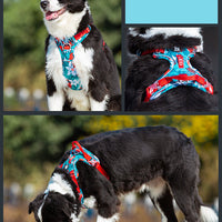 HKM-572499 Nylon Dog Leash with Chain and Vest Straps for All Breeds