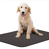 HKM-573587 Eco-Friendly Absorbent Dog Urine Pad - Machine Washable, Non-Slip, Multiple Sizes Available