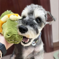 HKM-574419 Dog Electric Sound Plush Toy For Small And Medium-sized Dogs