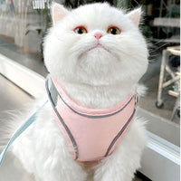 HKM-575315 Reflective Cat Harness with Pulling Rope - Adjustable Sizes S to XXL in Blue, Pink, Orange, Green