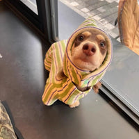 HKM-575379 Pet Dog Warm Bubble Cotton Vest in Green with Optional Hat