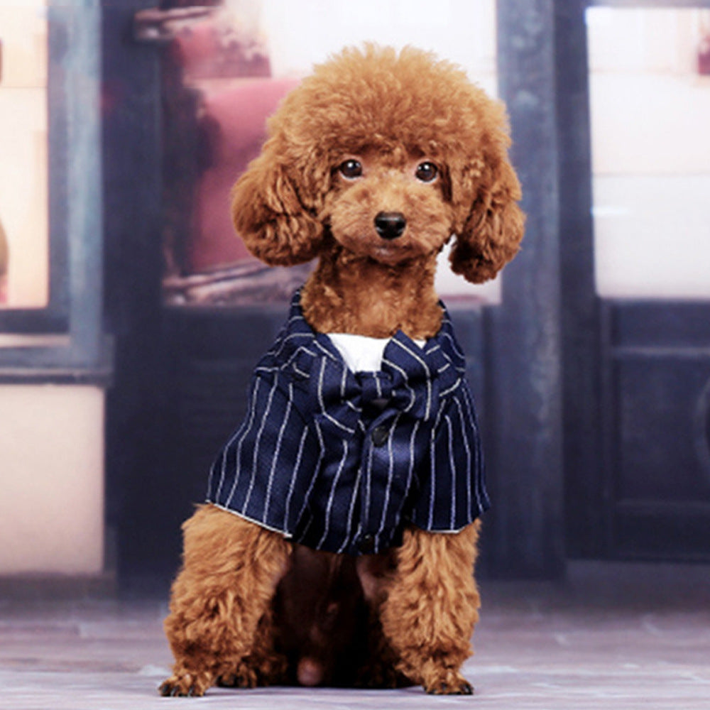 HKM-577299 Thin Black Imitation Silk Striped Suit Dress for Summer - Small Dog Outfit