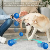HKM-577875 Blue And Orange Pet Bouncing Ball Fun Pet Bouncing Ball For Cats And Dogs