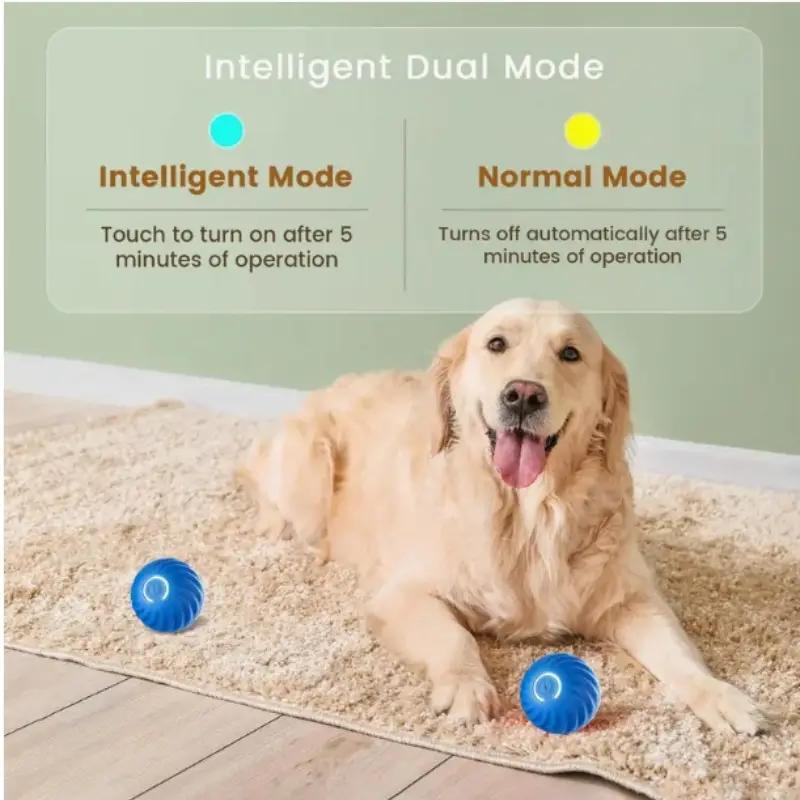 HKM-577875 Blue And Orange Pet Bouncing Ball Fun Pet Bouncing Ball For Cats And Dogs
