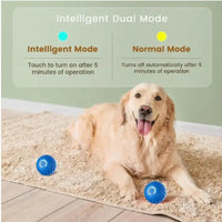 HKM-577875 Blue And Orange Pet Bouncing Ball Fun Pet Bouncing Ball For Cats And Dogs