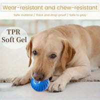 HKM-577875 Blue And Orange Pet Bouncing Ball Fun Pet Bouncing Ball For Cats And Dogs