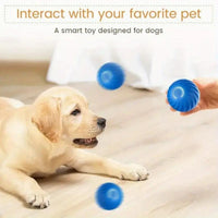 HKM-577875 Blue And Orange Pet Bouncing Ball Fun Pet Bouncing Ball For Cats And Dogs