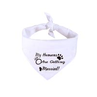 HKM-578259 White Dog Wedding Scarf with 'He Asked, She Said Yes' Embroidery for Valentine's Day