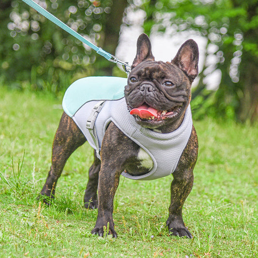 HKM-579091 Cool and Breathable Outdoor Cooling Vest for Pets in Multiple Colors and Sizes