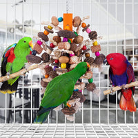 HKM-579667 Wooden Fruit Skewers for Large Parrots - Creative Nibbling Toy