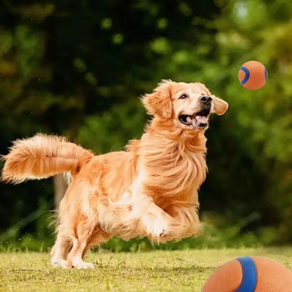 HKM-581011 Durable Rubber Inflatable Fetch Ball for Dogs and Cats, Chew Toy in Orange, Sizes 5cm and 6cm