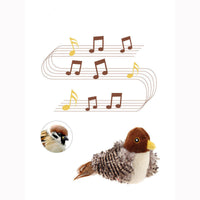 HKM-581331 Simulation Bird Pet Cat Training Scratching Toy