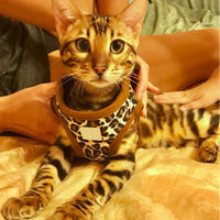 HKM-583059 Leopard Print and Camouflage Heart Chest Strap in Mesh and Cotton Canvas