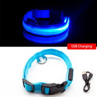 HKM-584723 Rechargeable LED Collar