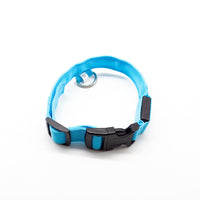 HKM-584723 Rechargeable LED Collar