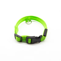 HKM-584723 Rechargeable LED Collar