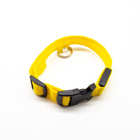 HKM-584723 Rechargeable LED Collar